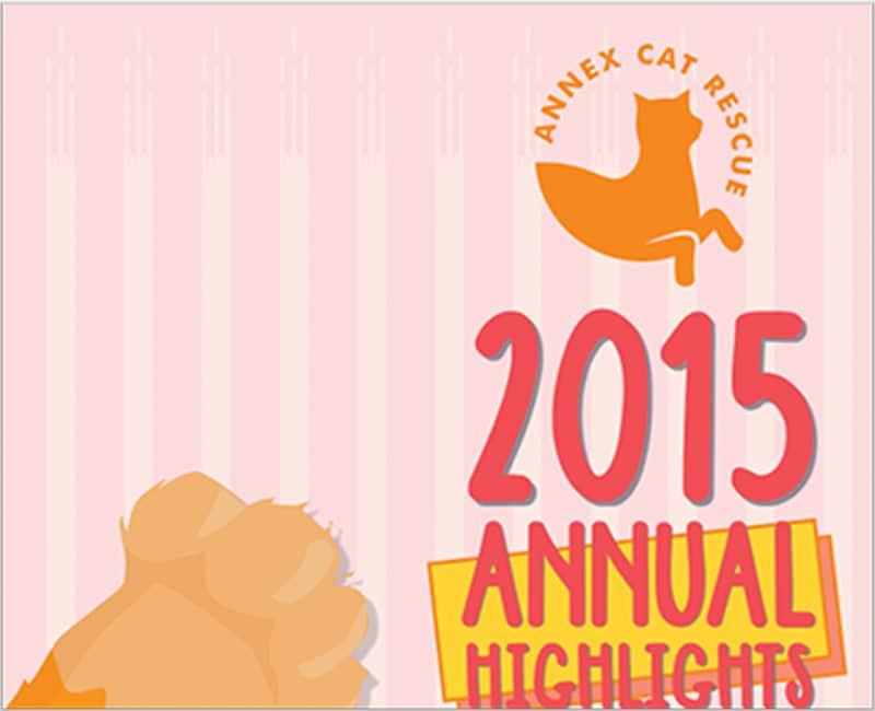 Annual Highlights 2015