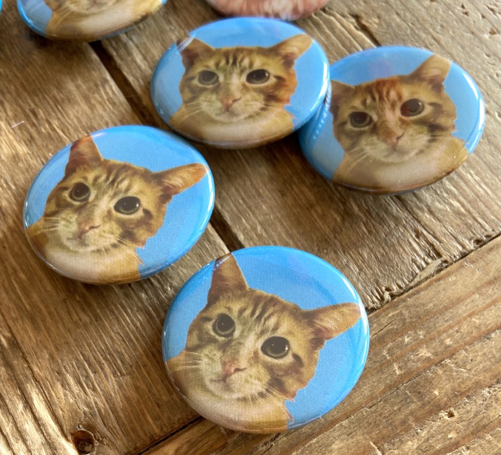 Archie buttons for Rusa's students