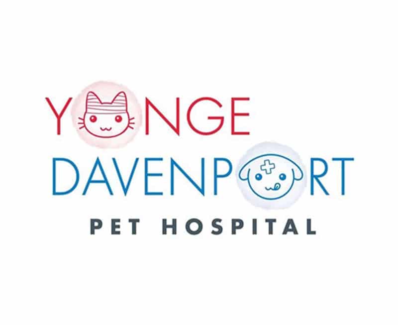 Yonge Davenport Pet Hospital